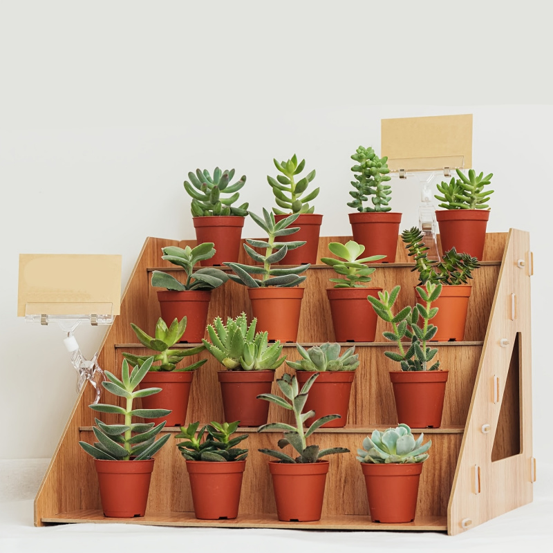 Pop Display Shelf - 나무 재질의 진열대, 농산물 직판회 및
